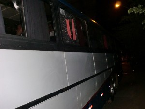 galo0goias2copadobrasil2012010.jpg (84226 bytes)