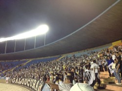 galo1x1dragao001.jpg (102544 bytes)