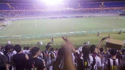 galo1x1dragao004.jpg (89003 bytes)