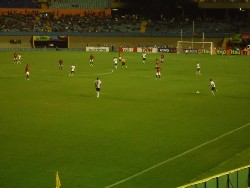 galo1x1dragao009.jpg (86605 bytes)