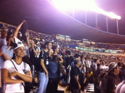 galo1x1dragao014.jpg (111998 bytes)