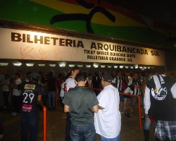 galo1x1dragao015.jpg (99111 bytes)