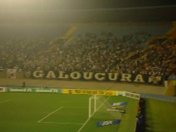 galo1x1dragao021.jpg (73460 bytes)