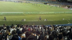 galo1x1dragao022.jpg (93514 bytes)