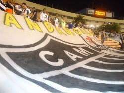 galo1x1dragao025.jpg (106310 bytes)