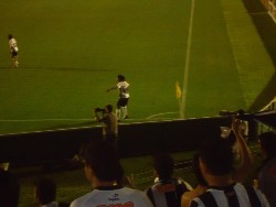 galo1x1dragao027.jpg (67581 bytes)