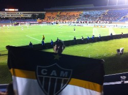 galo1x1dragao033.jpg (100141 bytes)