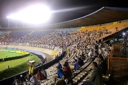 galo1x1dragao043.jpg (144770 bytes)