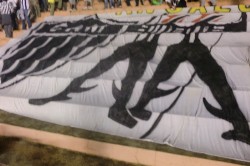 galo1x1dragao049.jpg (82306 bytes)