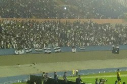 galo1x1dragao058.jpg (98768 bytes)