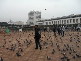 candangalomarrocos (32).jpg (82928 bytes)