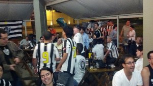 serpentinalibertadores001.jpg (102931 bytes)