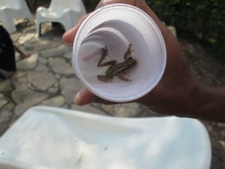 churrascao2014 (17).jpg (41657 bytes)