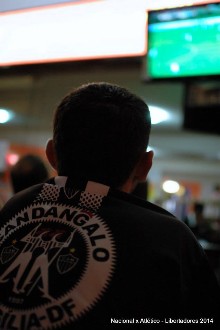 galo2x2nacional (17).jpg (40367 bytes)