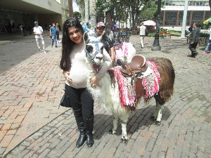 colombia051.jpg (275083 bytes)