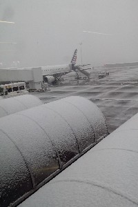 budapeste2015grande195.jpg (135221 bytes)