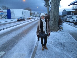 genebra2015grande002.jpg (206029 bytes)