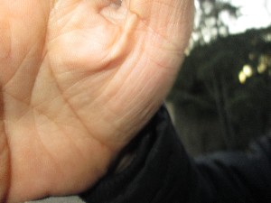 lisboa2015grande090.jpg (128910 bytes)