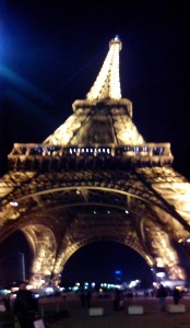 paris2015grande161.jpg (98656 bytes)