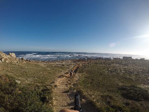 cidadedocabo2017a (155).jpg (116563 bytes)