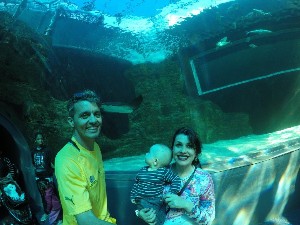 cidadedocabo2017a (192).jpg (119808 bytes)