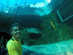 cidadedocabo2017a (193).jpg (103707 bytes)