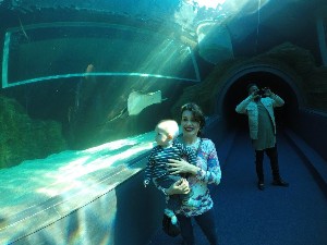 cidadedocabo2017a (194).jpg (97014 bytes)