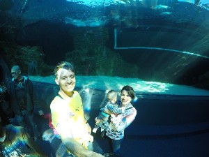 cidadedocabo2017a (195).jpg (95071 bytes)