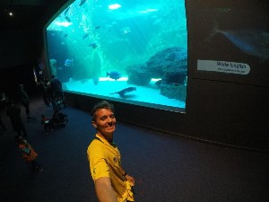 cidadedocabo2017a (197).jpg (75550 bytes)