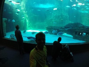 cidadedocabo2017a (198).jpg (81211 bytes)