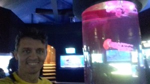 cidadedocabo2017a (23).jpg (66924 bytes)