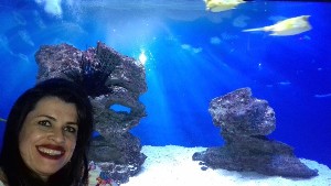 cidadedocabo2017a (25).jpg (76932 bytes)