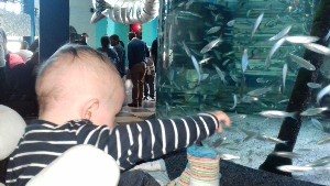 cidadedocabo2017a (26).jpg (93656 bytes)