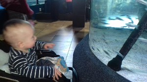 cidadedocabo2017a (27).jpg (80539 bytes)