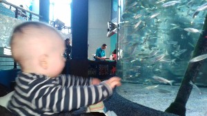 cidadedocabo2017a (28).jpg (83268 bytes)