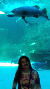 cidadedocabo2017a (29).jpg (39964 bytes)