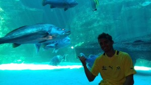 cidadedocabo2017a (30).jpg (58091 bytes)