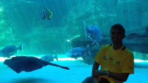 cidadedocabo2017a (31).jpg (58553 bytes)