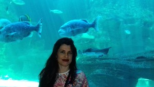 cidadedocabo2017a (32).jpg (59480 bytes)