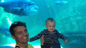 cidadedocabo2017a (36).jpg (62007 bytes)