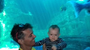 cidadedocabo2017a (37).jpg (53210 bytes)