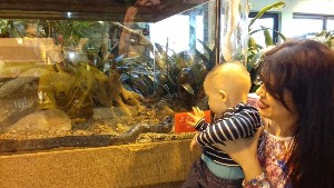 cidadedocabo2017a (39).jpg (115123 bytes)