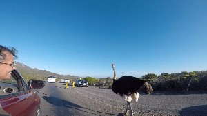 cidadedocabo2017a (53).jpg (64516 bytes)