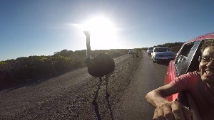 cidadedocabo2017a (54).jpg (75808 bytes)