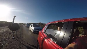 cidadedocabo2017a (55).jpg (67379 bytes)