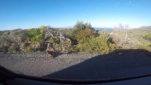 cidadedocabo2017a (57).jpg (105846 bytes)