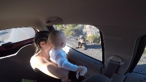 cidadedocabo2017a (59).jpg (57643 bytes)