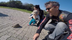 cidadedocabo2017a (84).jpg (137562 bytes)