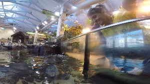 cidadedocabo2017a (96).jpg (101134 bytes)