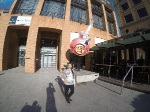 joanesburgo2017a (85).jpg (146751 bytes)